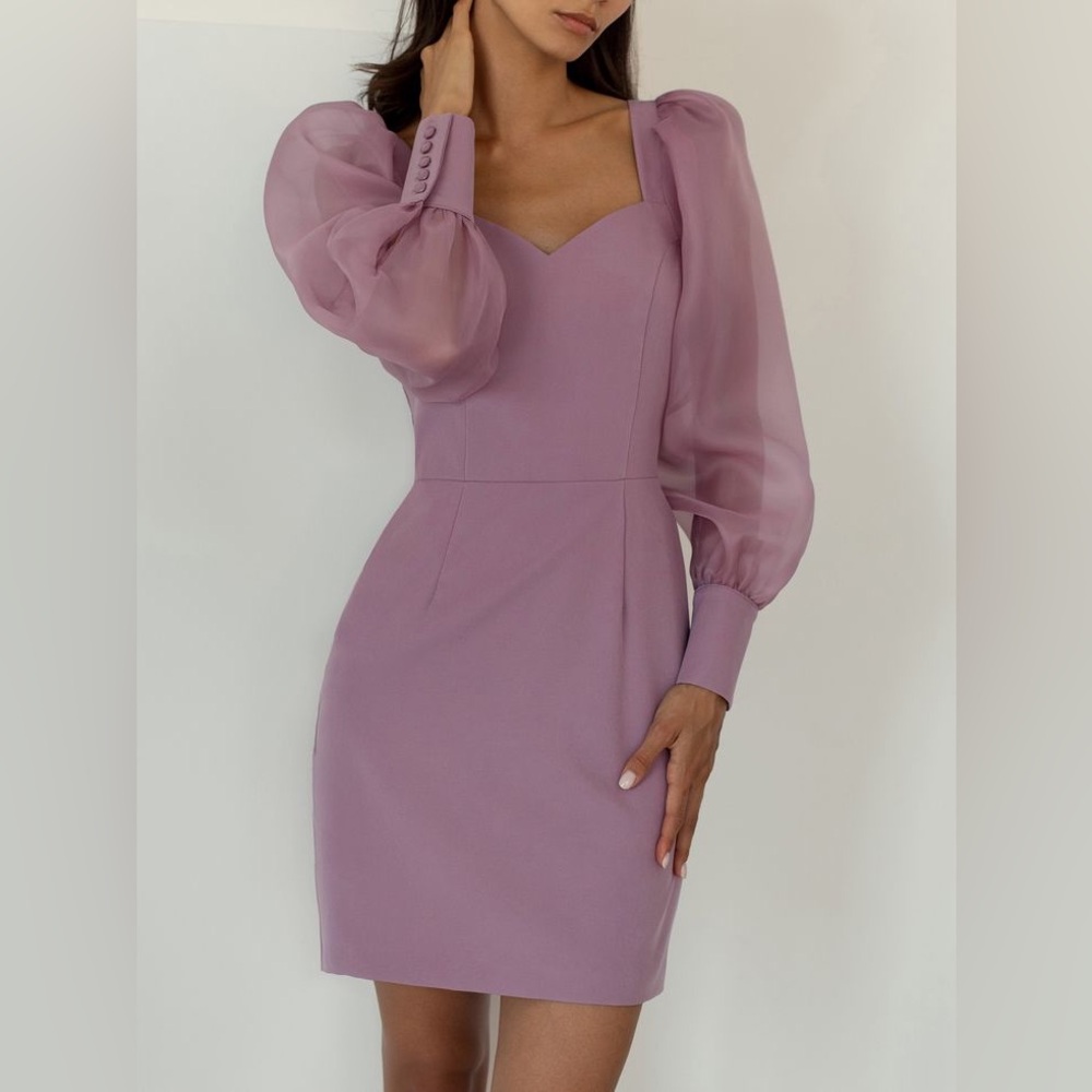 Elegant Mauve Dress with Sheer Sleeves